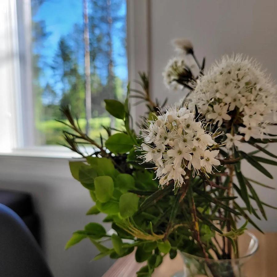 Siikavilla, Siikajoki 外观 照片